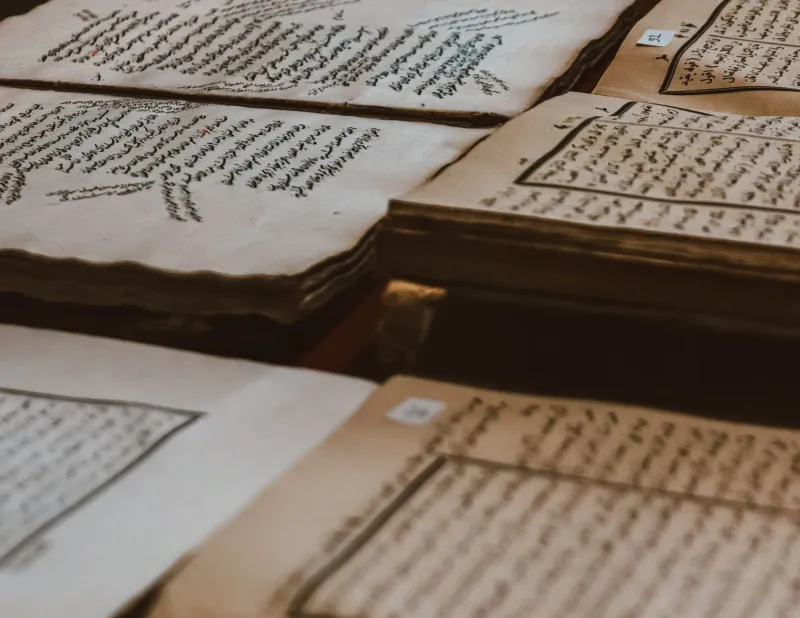 Written in the Margins: How Librarians' Private Annotations Became a Secret Archive of Intellectual Resistance